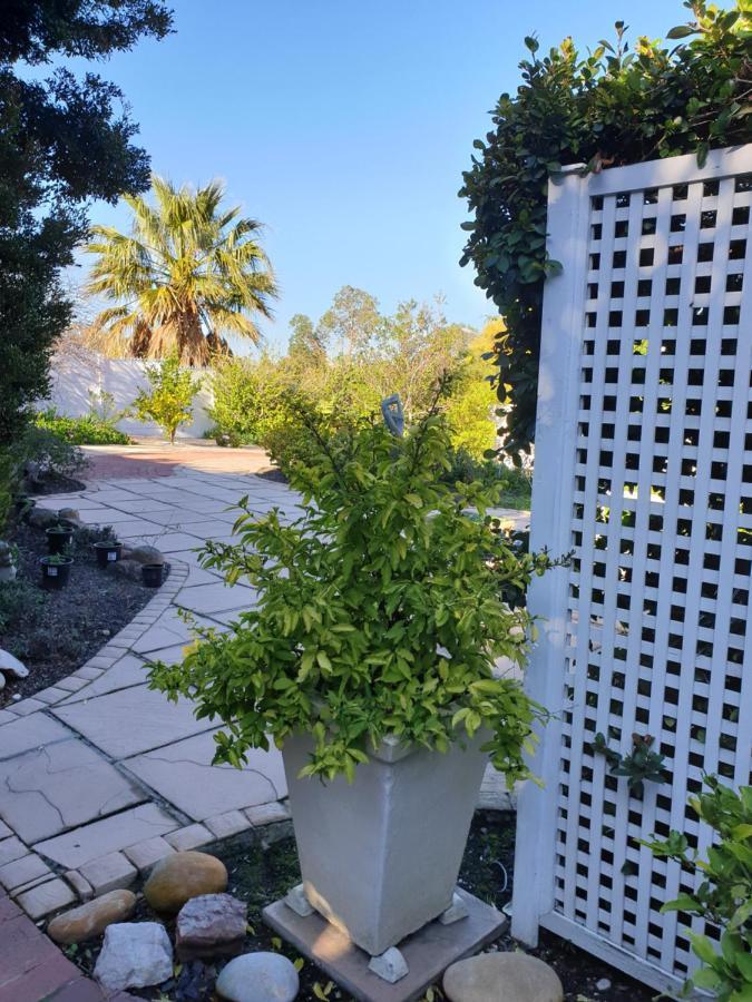 Roosboom Guest Apartments Somerset West Buitenkant foto